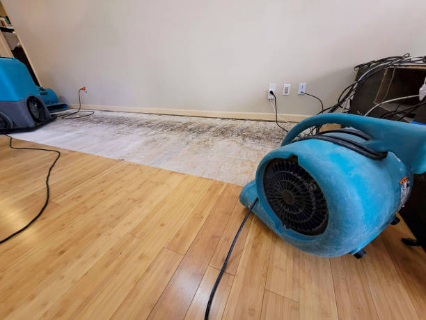 Professional Water Extraction technician working in Blandford, MA